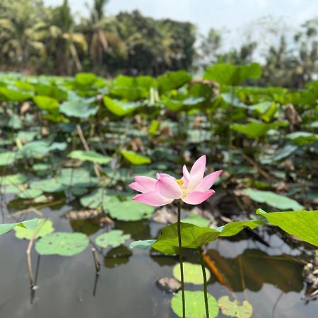 Huong Tram Homestay Ho Da Dış mekan fotoğraf