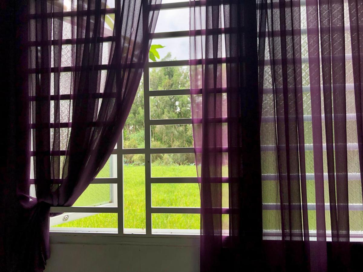 Huong Tram Homestay Ho Da Dış mekan fotoğraf