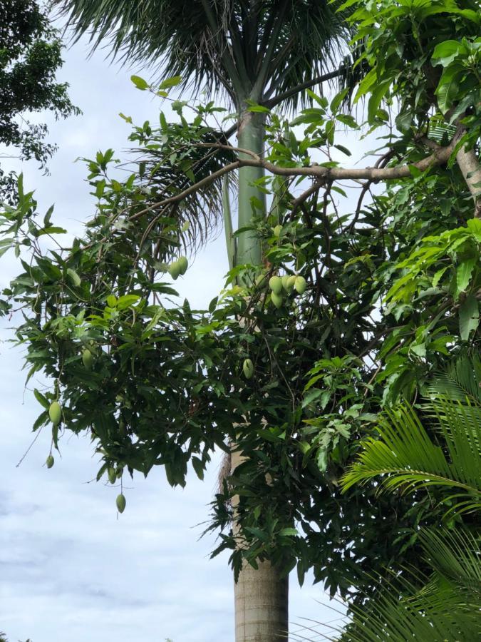 Huong Tram Homestay Ho Da Dış mekan fotoğraf