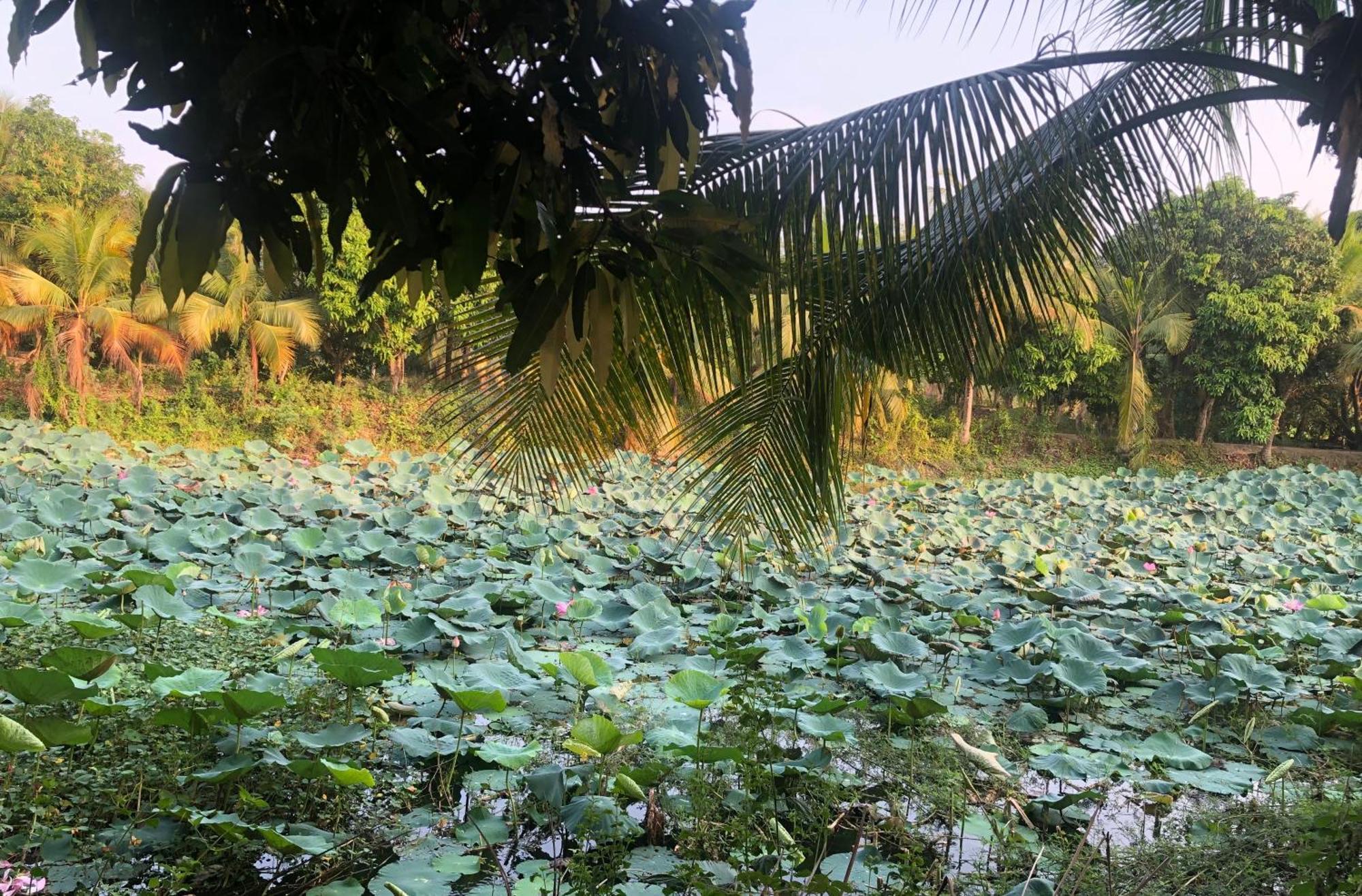 Huong Tram Homestay Ho Da Dış mekan fotoğraf