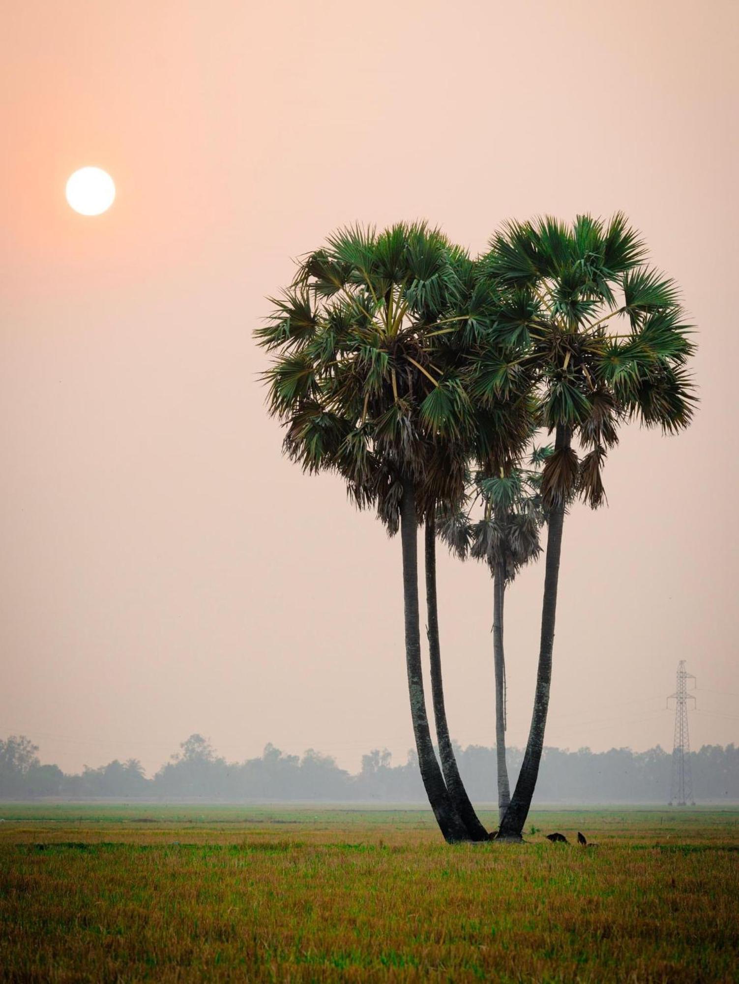 Huong Tram Homestay Ho Da Dış mekan fotoğraf