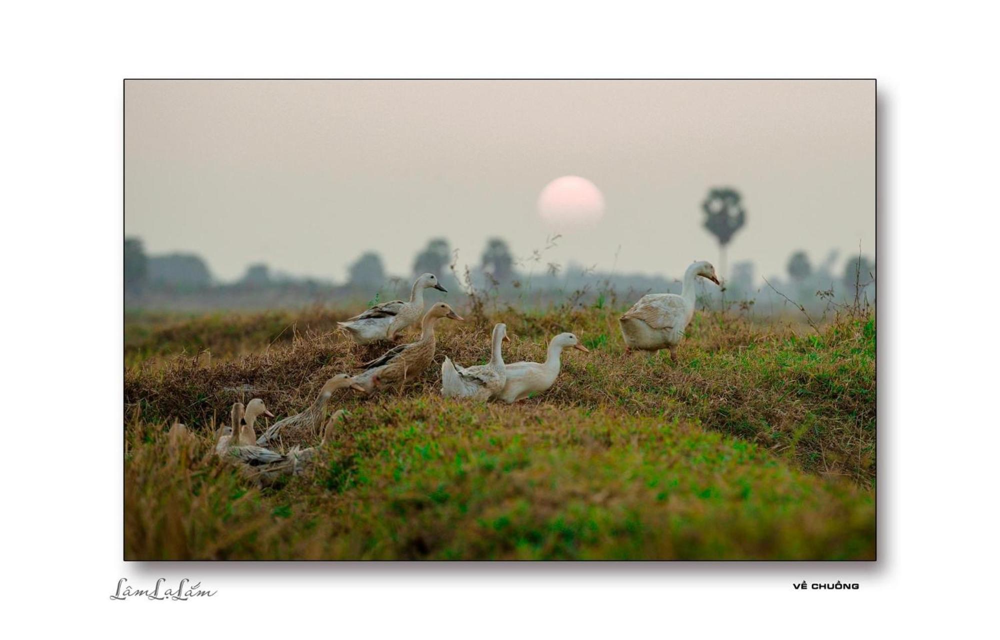 Huong Tram Homestay Ho Da Dış mekan fotoğraf