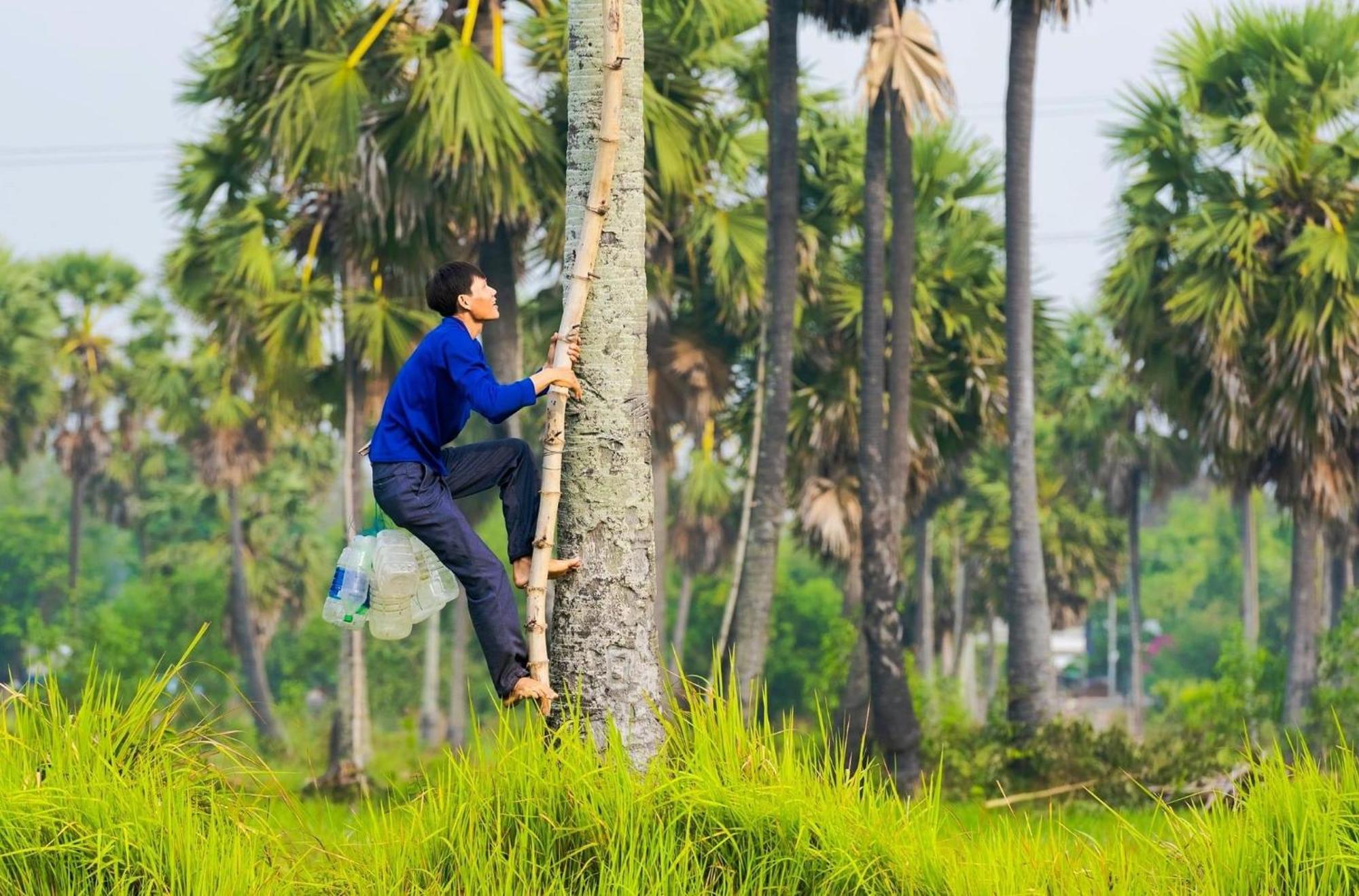 Huong Tram Homestay Ho Da Dış mekan fotoğraf