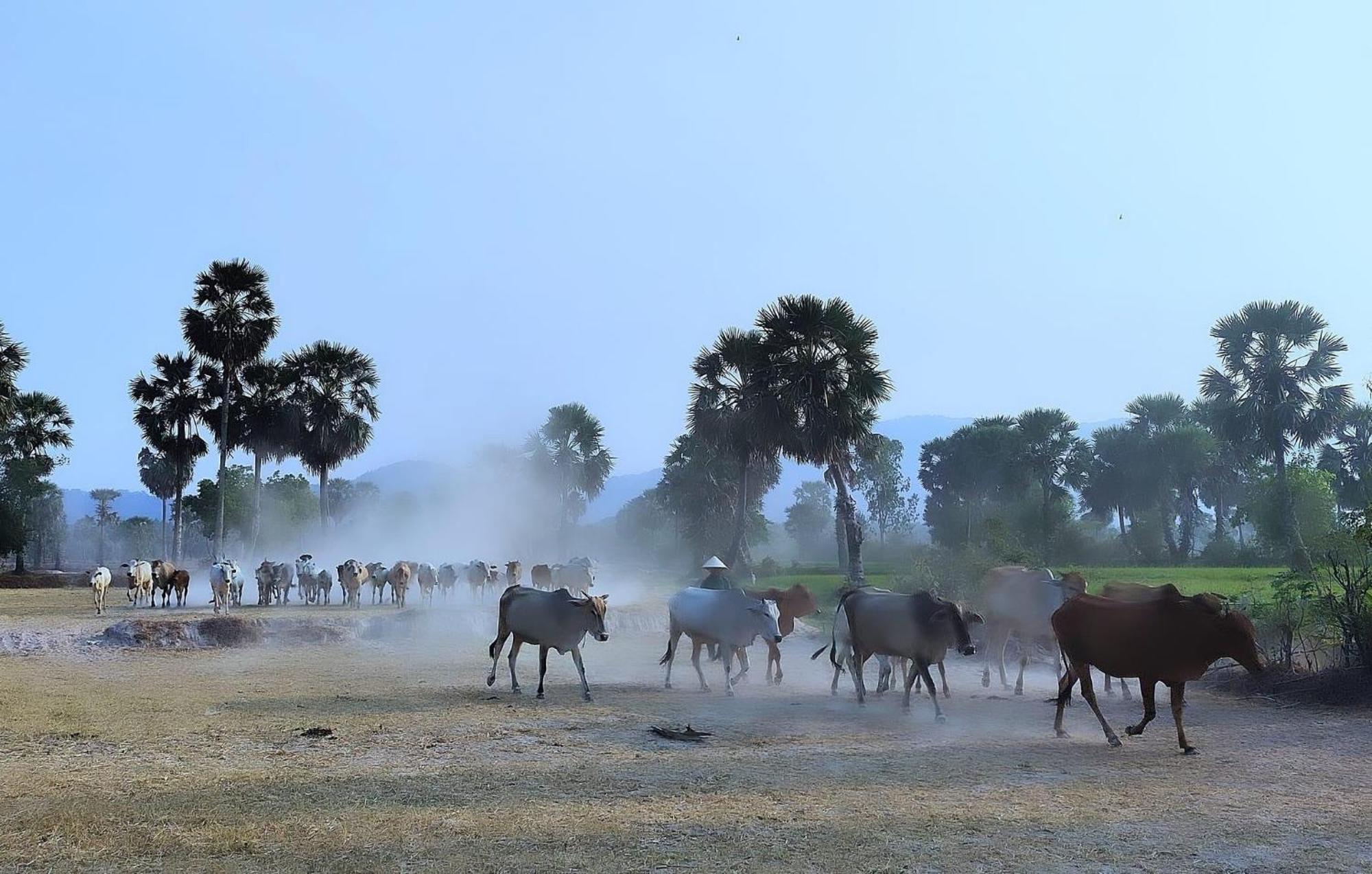 Huong Tram Homestay Ho Da Dış mekan fotoğraf