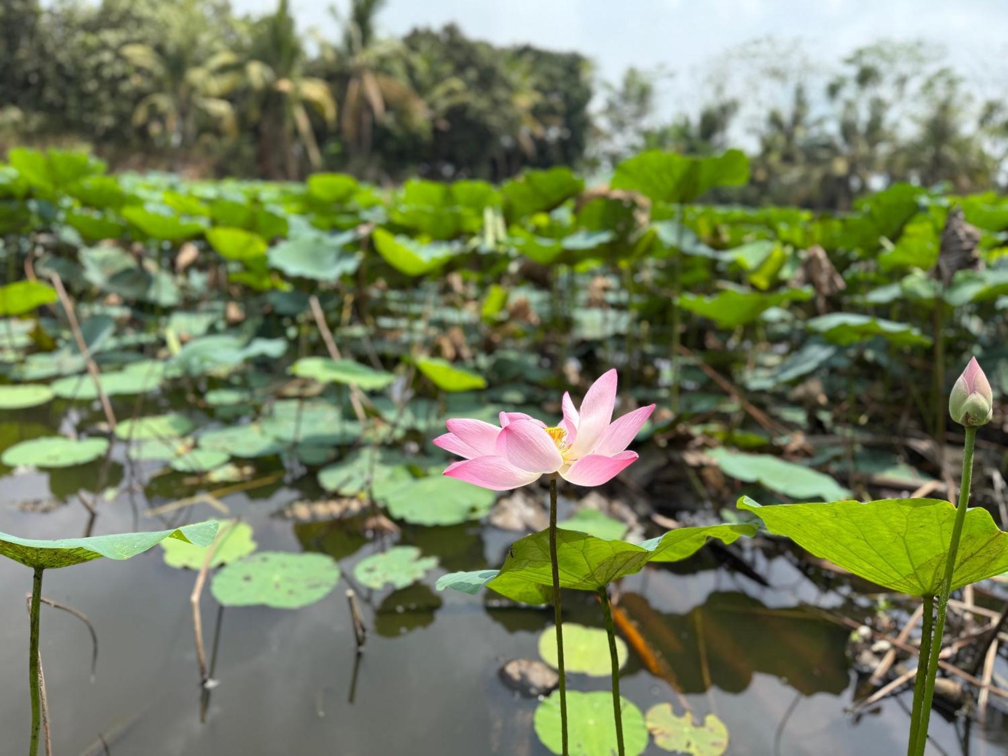Huong Tram Homestay Ho Da Dış mekan fotoğraf