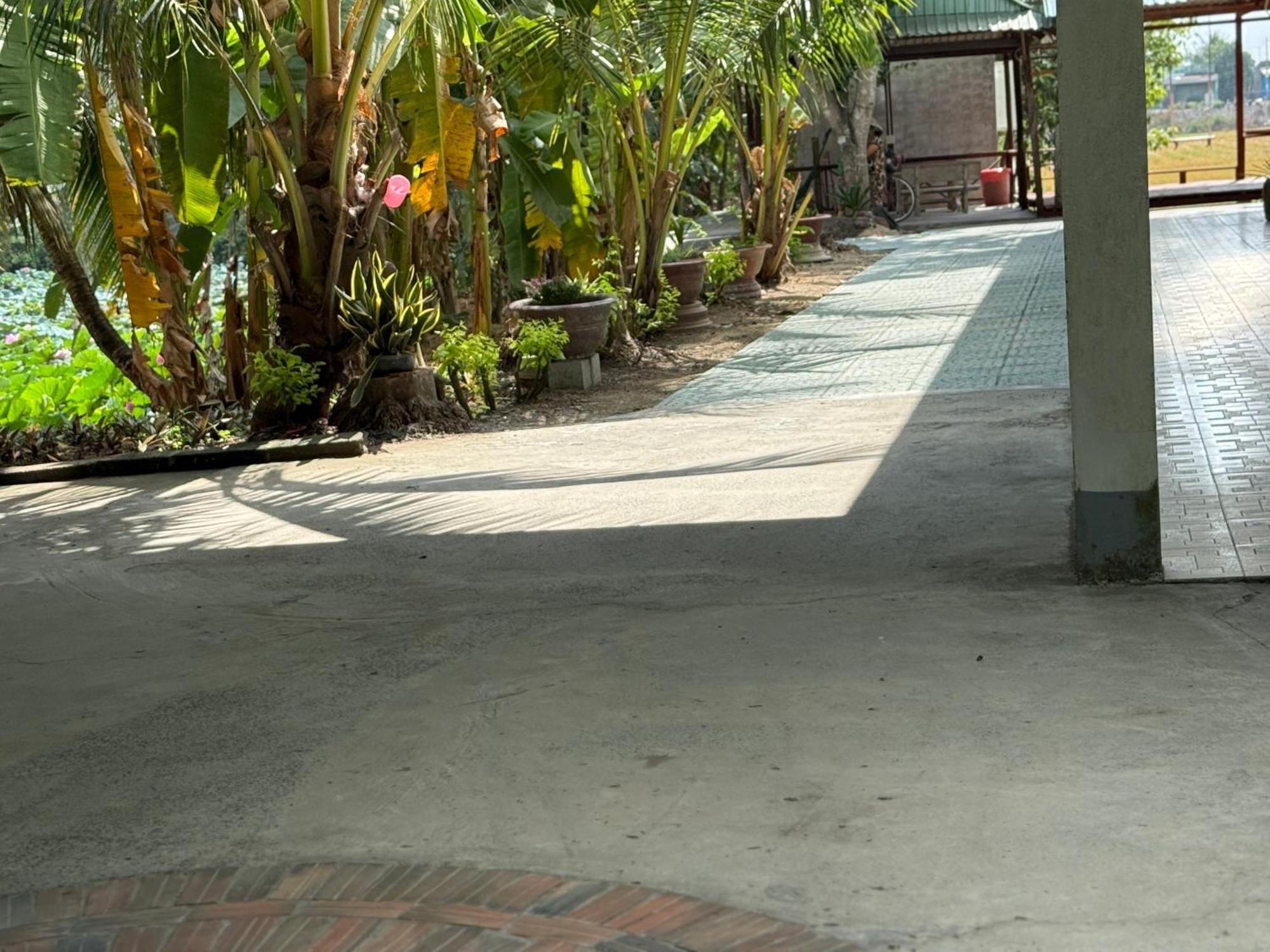 Huong Tram Homestay Ho Da Dış mekan fotoğraf
