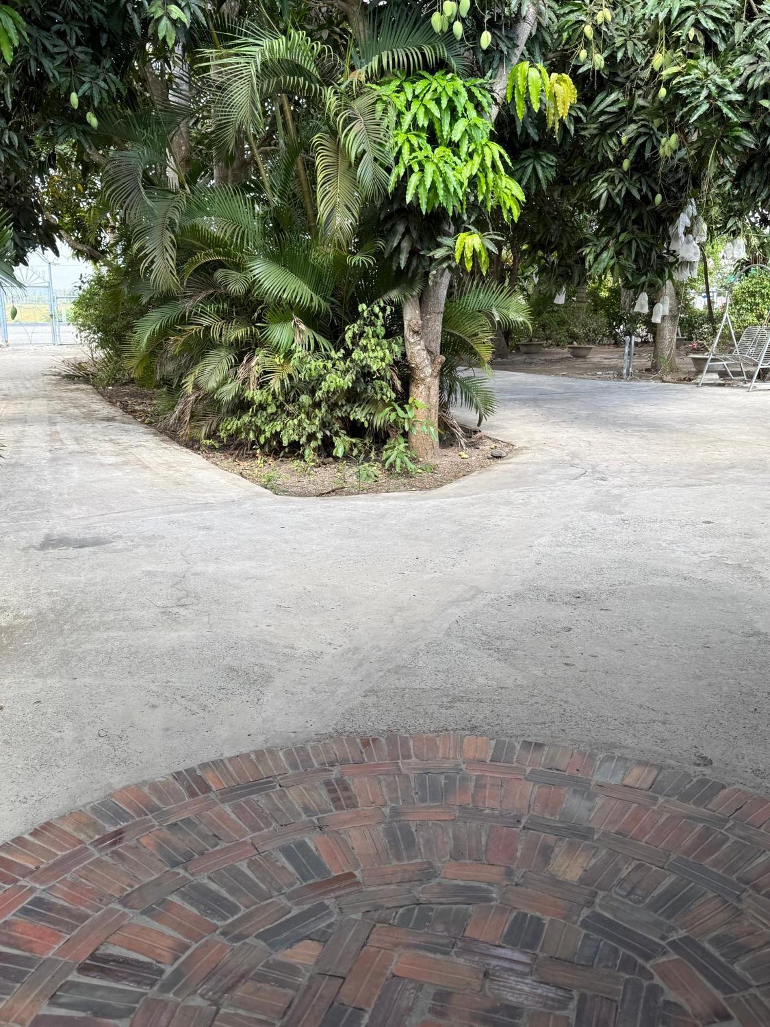 Huong Tram Homestay Ho Da Dış mekan fotoğraf