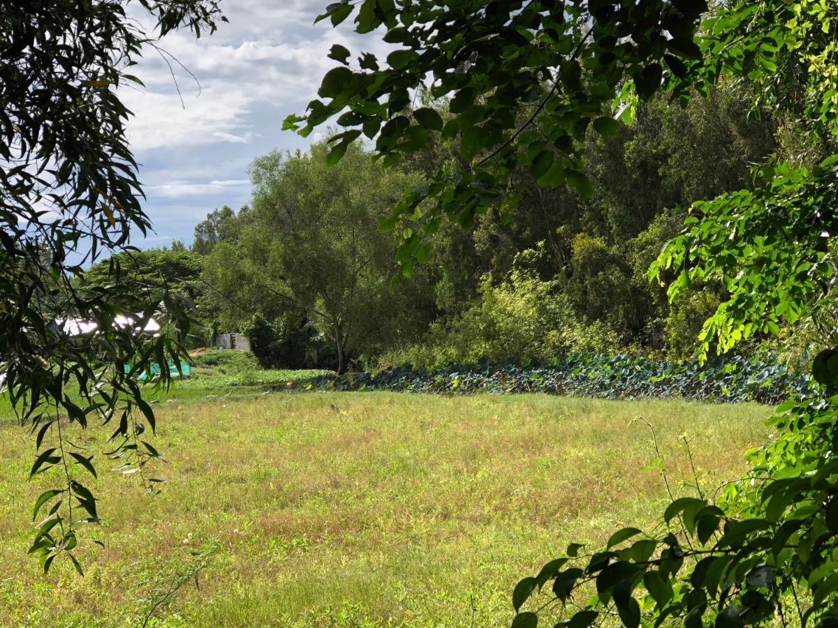 Huong Tram Homestay Ho Da Dış mekan fotoğraf