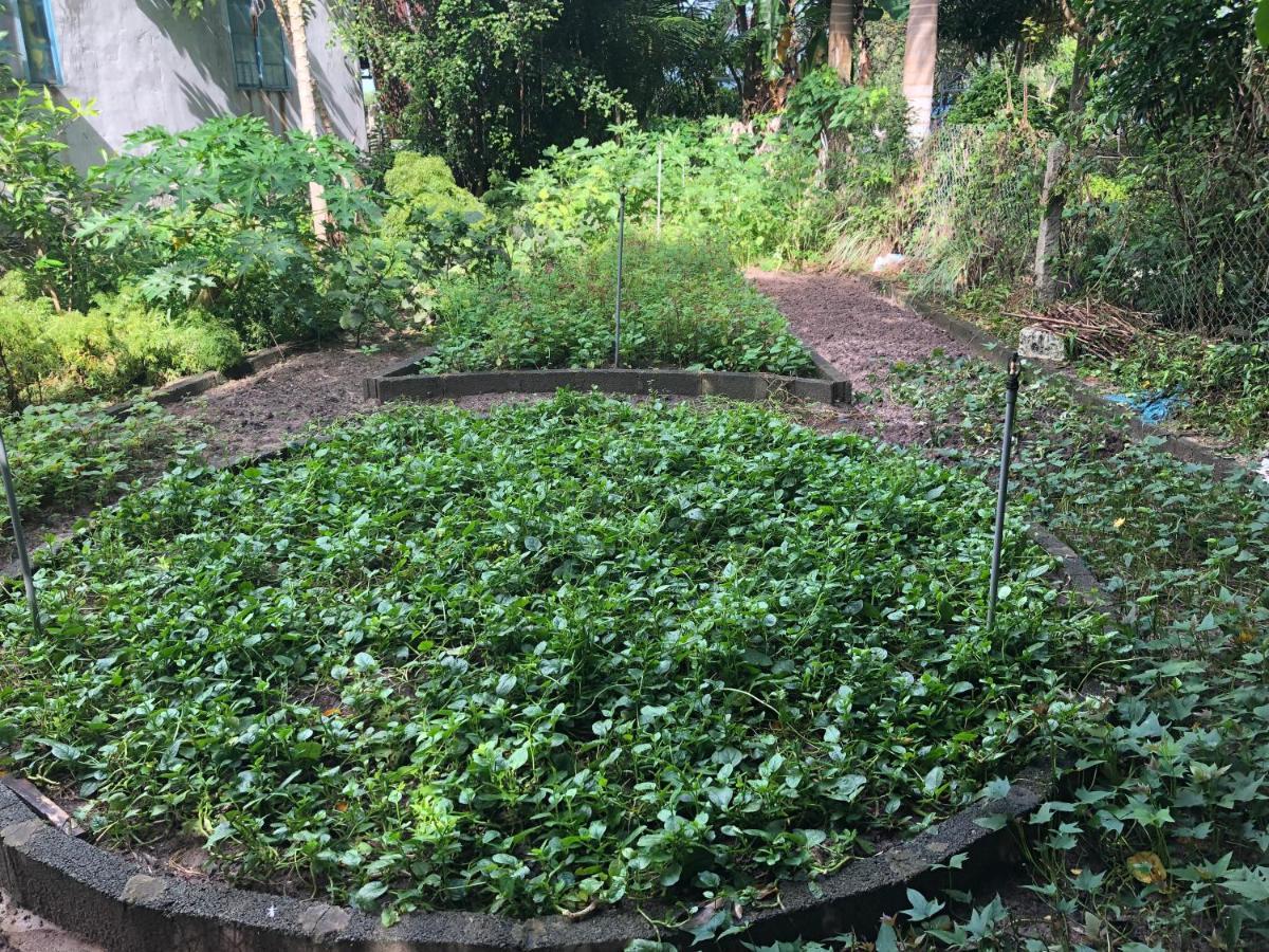 Huong Tram Homestay Ho Da Dış mekan fotoğraf